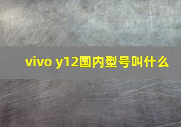 vivo y12国内型号叫什么